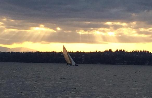 Sailboat on Lake Washington, July 2014